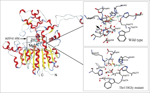 Figure 1.