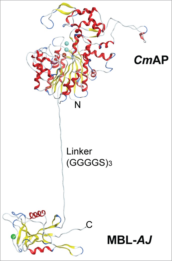 Figure 3.