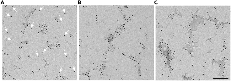 Figure 4