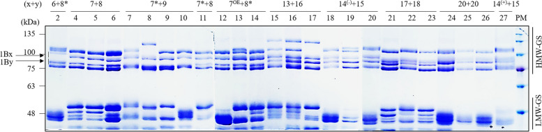 Fig. 7