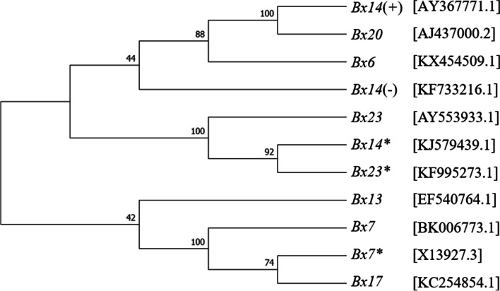 Fig. 1