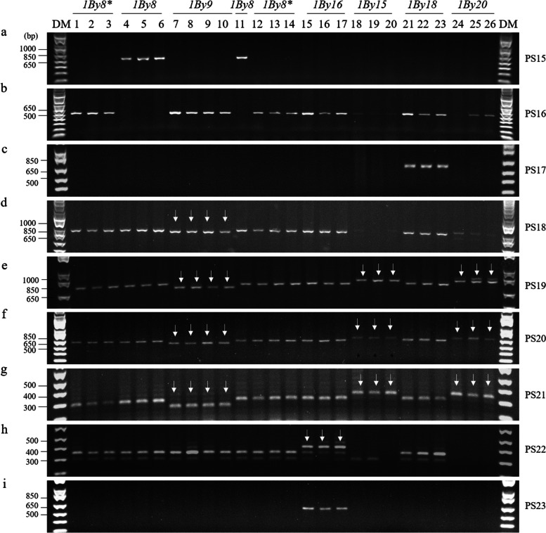 Fig. 5