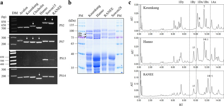 Fig. 3