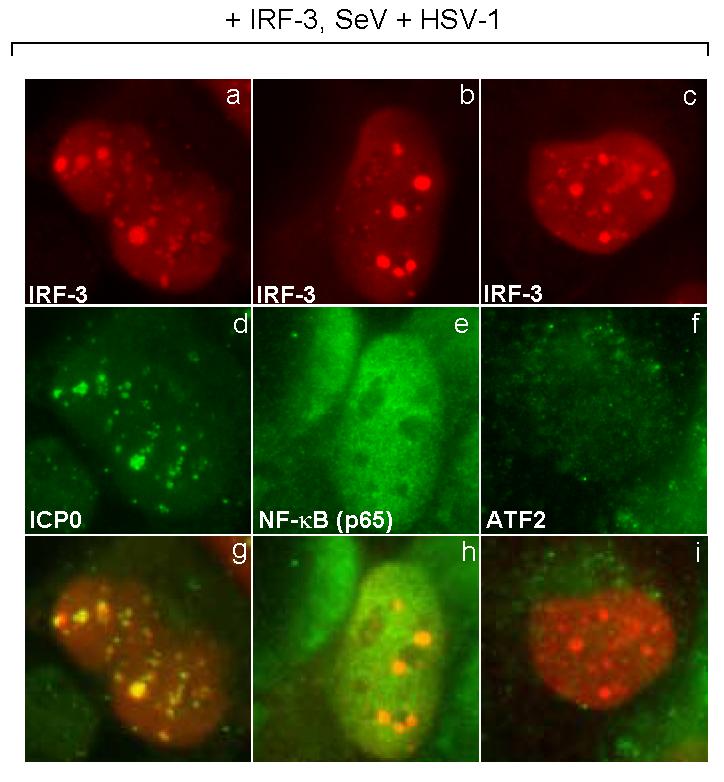 FIG. 10