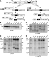 FIG. 7.