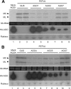FIG 6