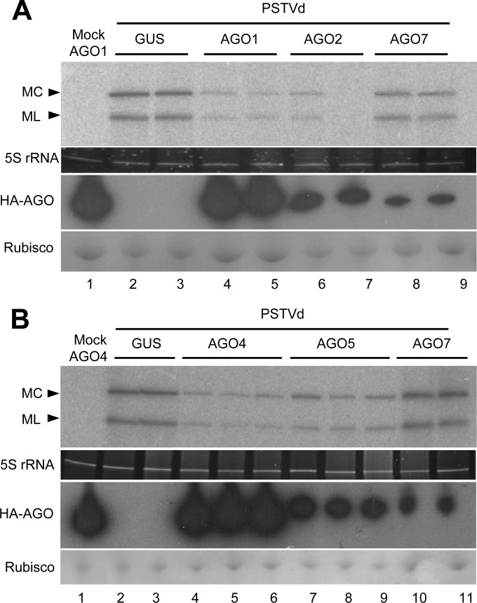 FIG 6