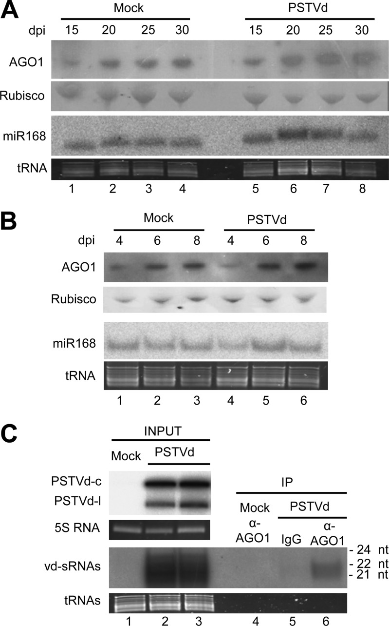 FIG 1