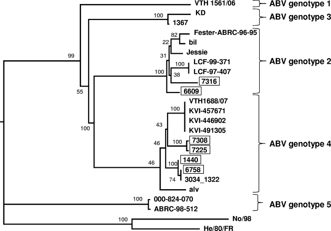 FIG. 1.