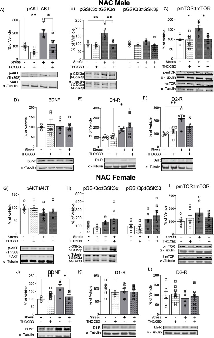 Fig. (4)