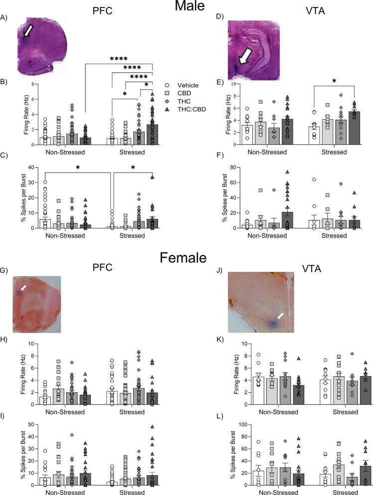 Fig. (3)