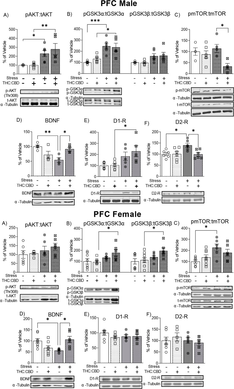 Fig. (5)