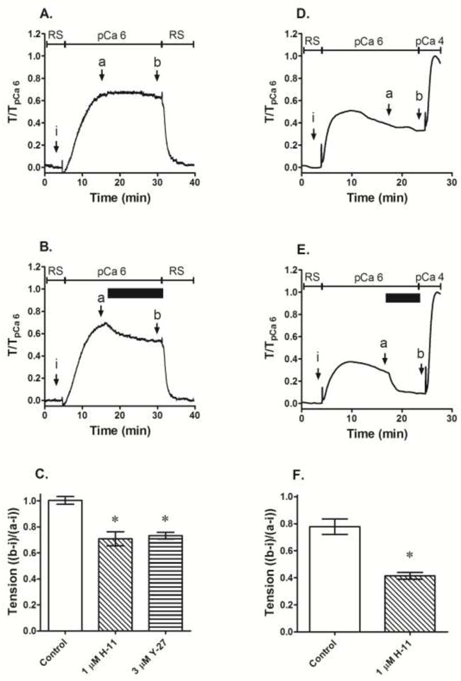 Fig 5