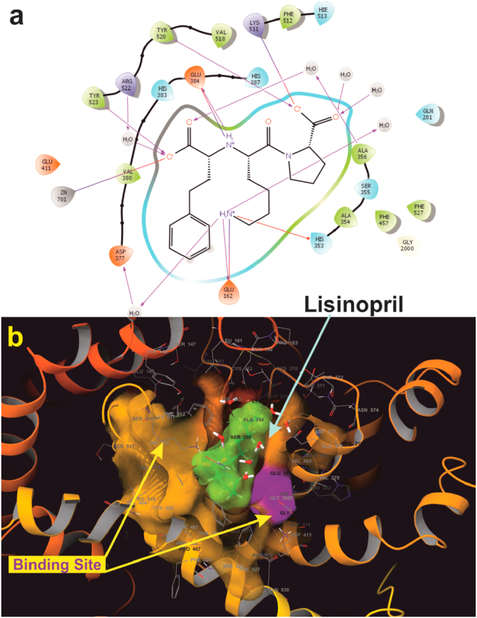 Figure 11