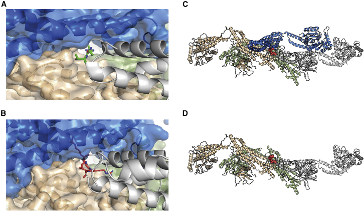 Figure 4