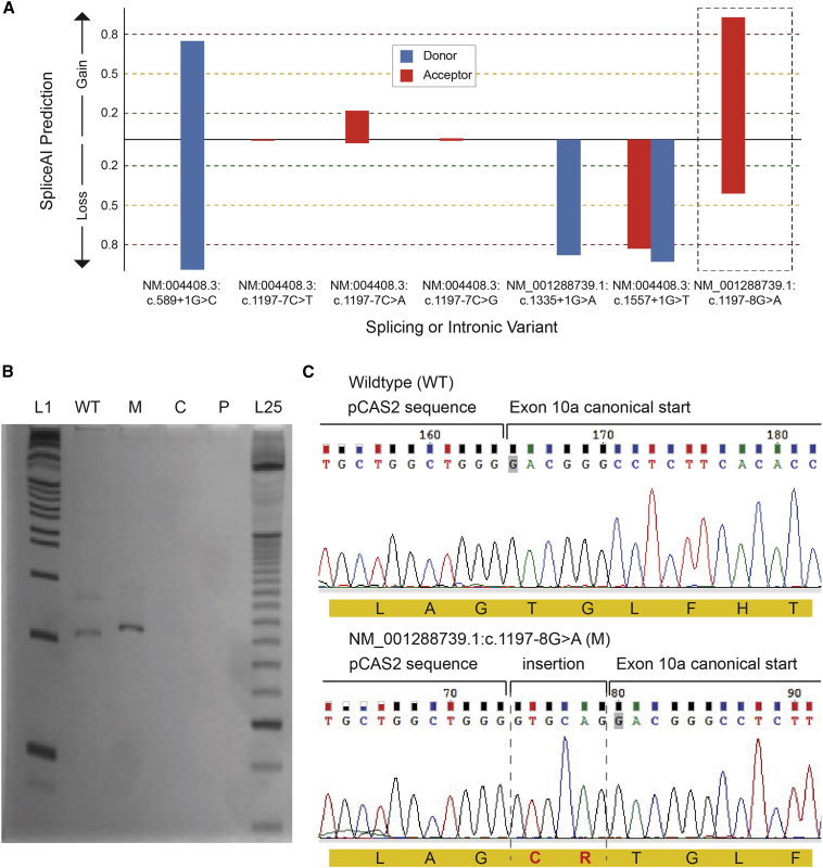 Figure 3