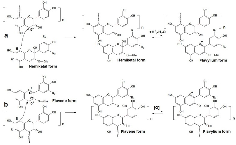 Scheme 9