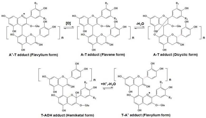 Scheme 8