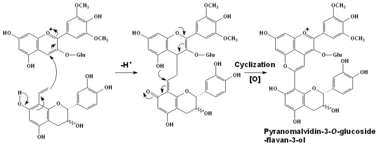 Scheme 3