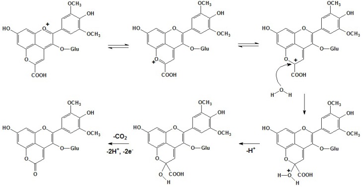 Scheme 5