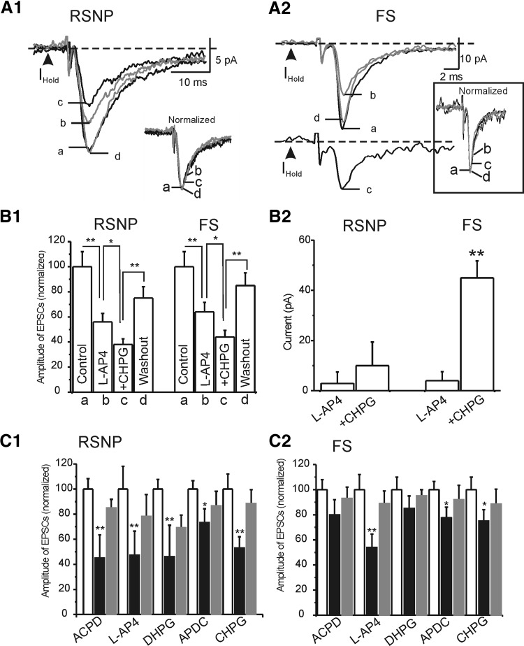 FIG. 8.