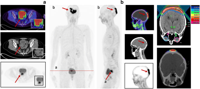 Fig. 8