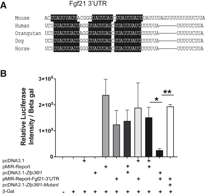 Figure 6