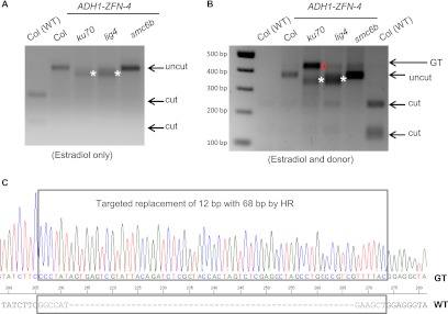 Figure 4.