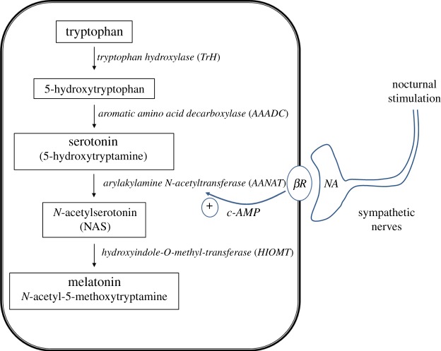 Figure 1.