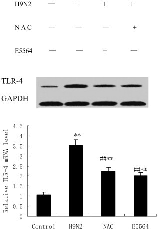 Fig. 8