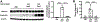 Figure 1 –