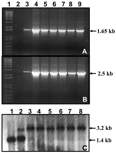 Figure 3.