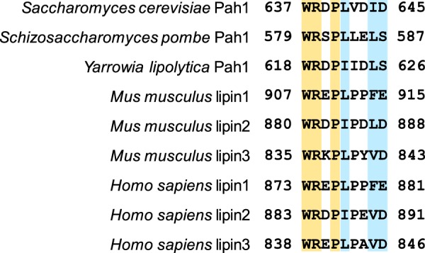 Figure 6.