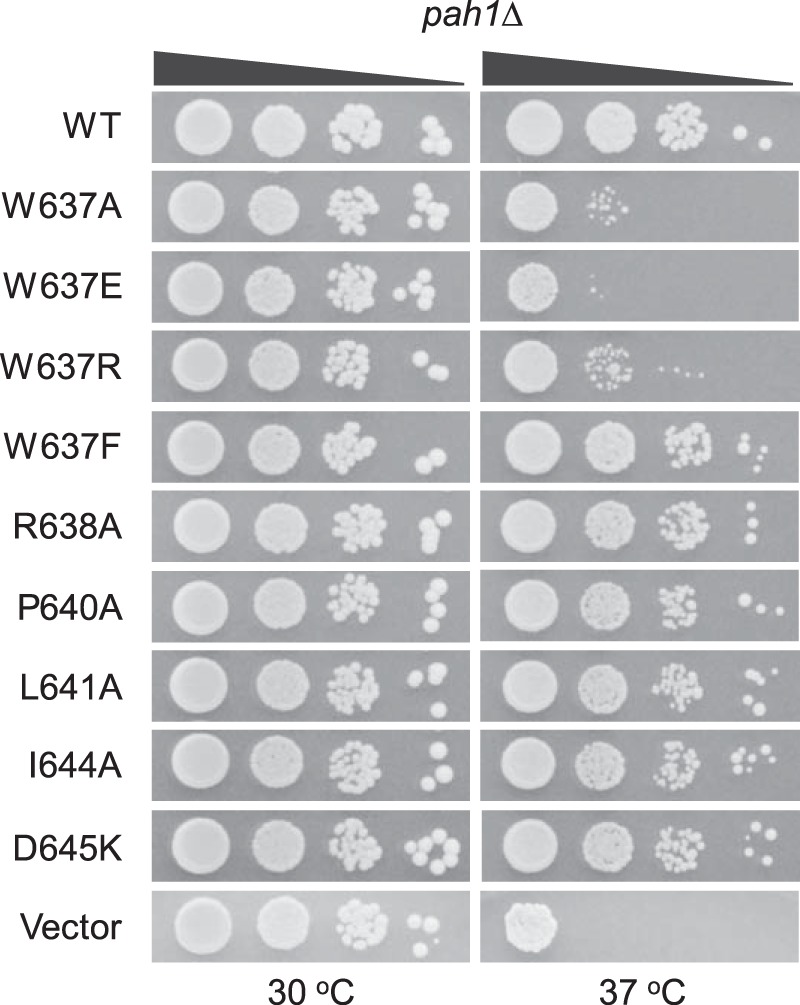 Figure 7.