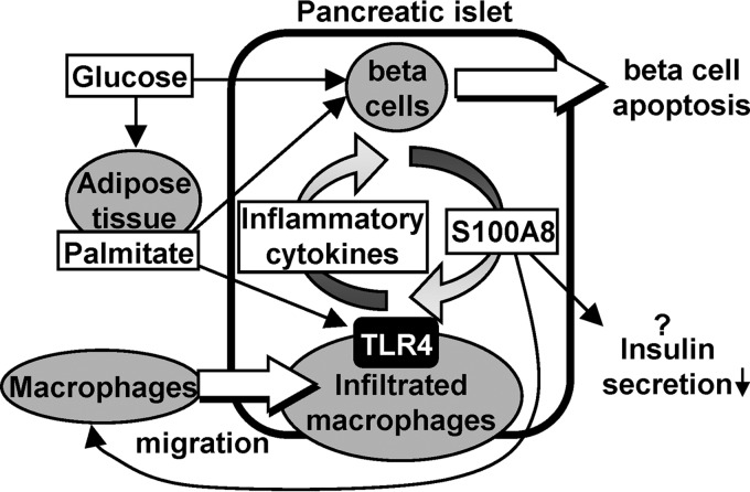 Figure 11.