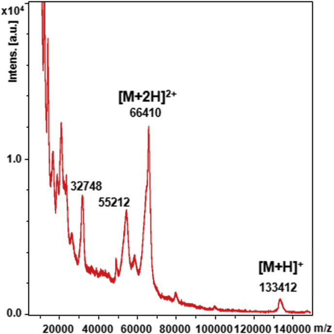 Fig. 3