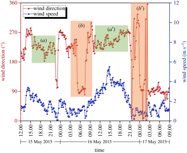 Figure 11.