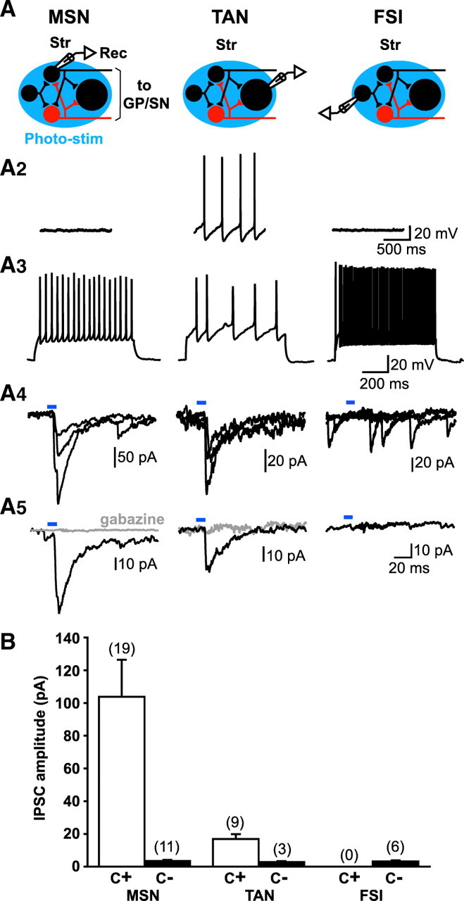 Figure 3.