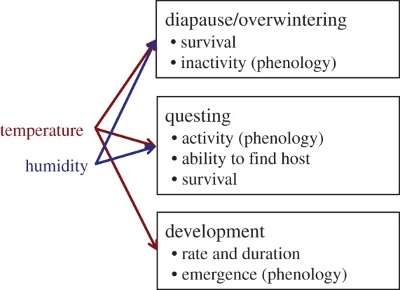 Figure 2.