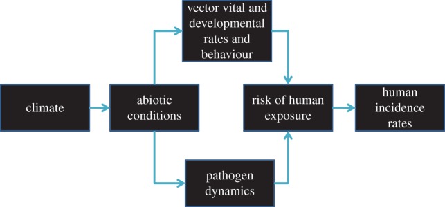 Figure 1.