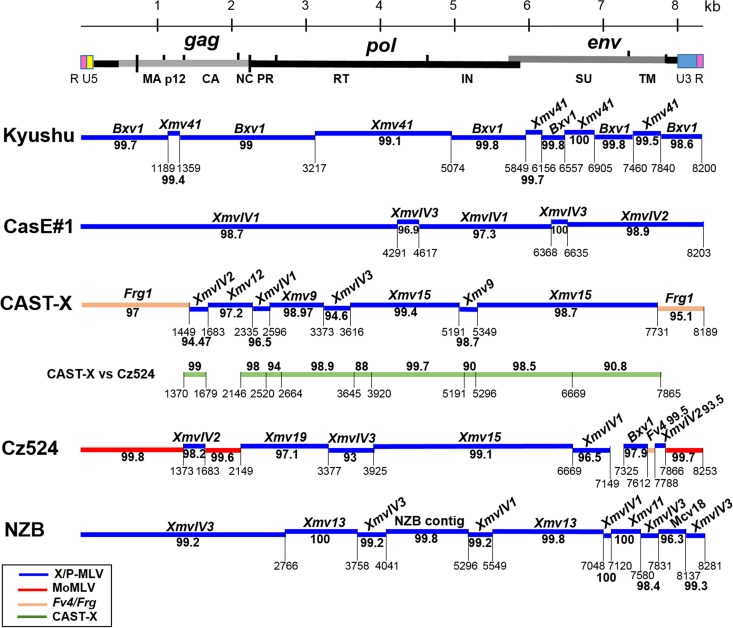 FIG 2