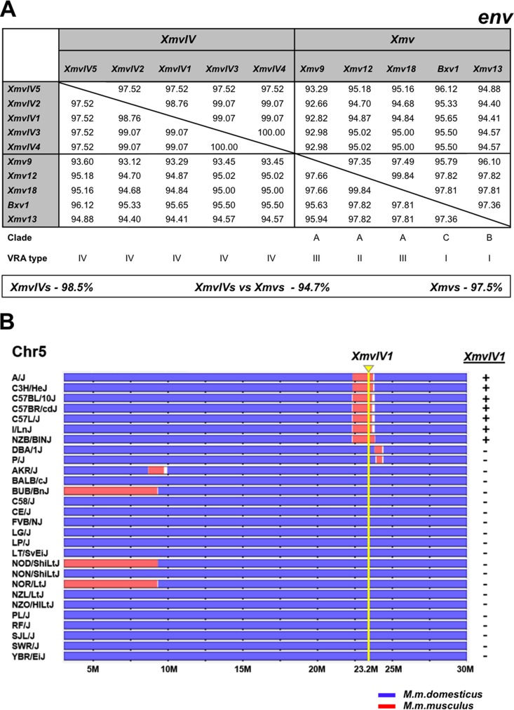 FIG 3