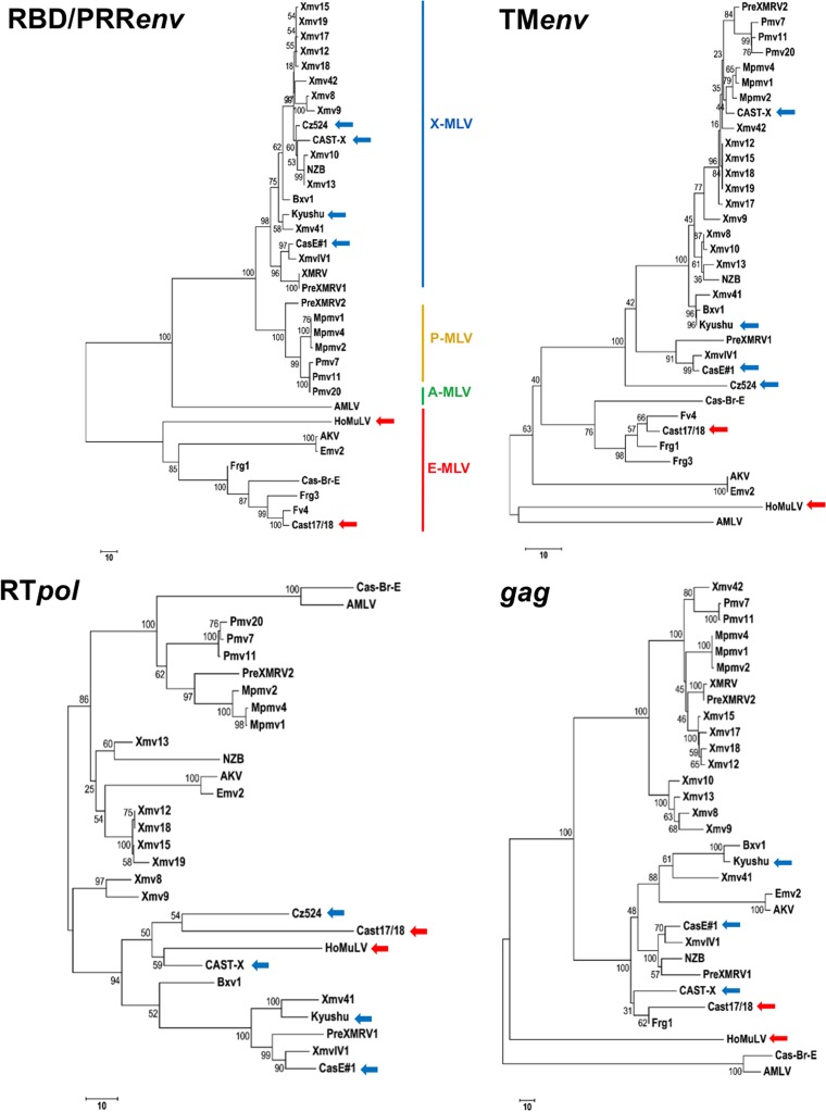 FIG 1