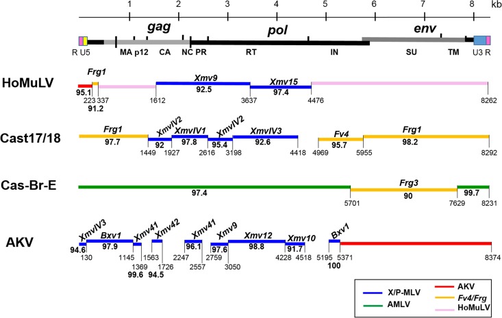 FIG 6