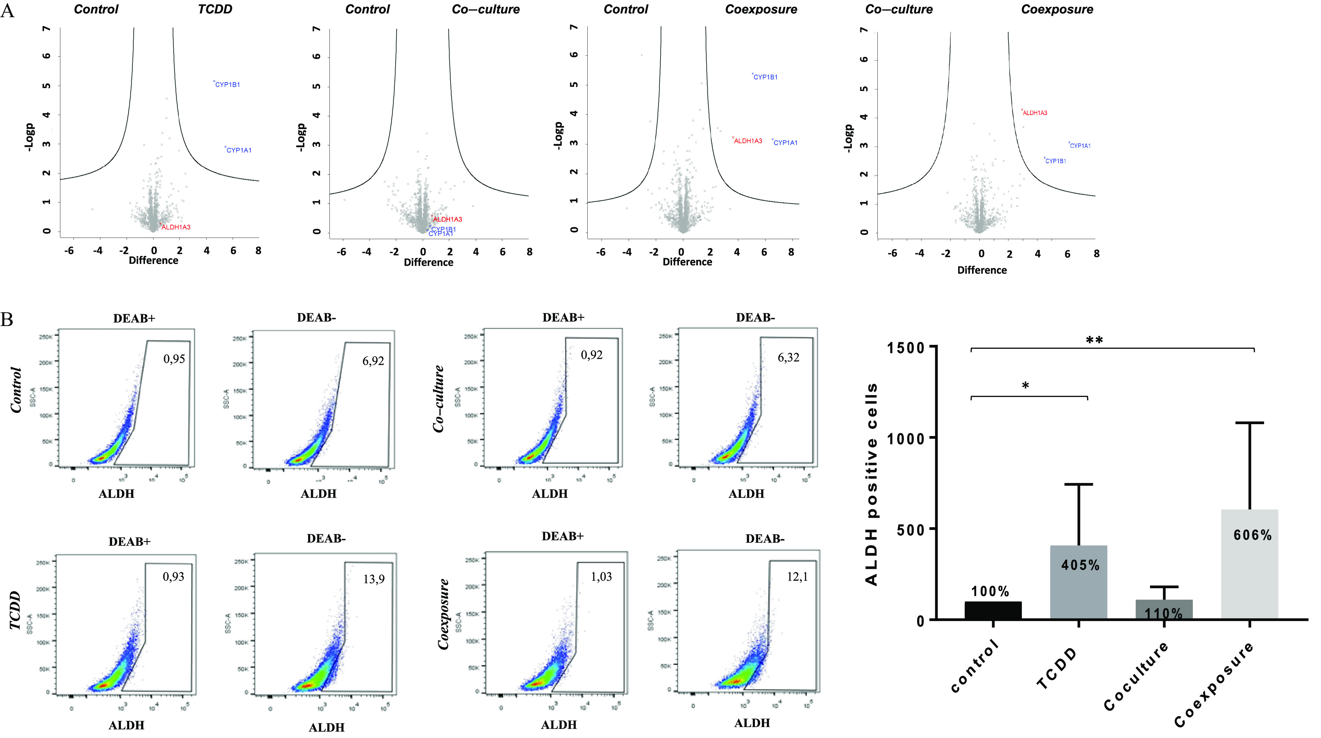 Figure 2A is a set of four volcano plots titled control and 2,3,7,8-Tetrachlorodibenzo-italic p-dioxin, control and co-culture, control coexposure, and co-culture and coexposure plotting negative log lowercase p, ranging from 0 to 7 in unit increments (y-axis) across difference, ranging from negative 6 to 8 in unit increments (x-axis) for Aldehyde dehydrogenase 1 family, member A3, Cytochrome P450 Family 1 Subfamily A Member 1, and Cytochrome P450 Family 1 Subfamily B Member 1. Figure 2B is a set of eight Flow cytometric dot plots and a bar graph. The first four Flow cytometric dot plots are titled uppercase n, n-diethylaminobenzaldehyde positive, uppercase n, n-diethylaminobenzaldehyde negative, uppercase n, n-diethylaminobenzaldehyde positive, and uppercase n, n-diethylaminobenzaldehyde negative plotting control uppercase s c-a, ranging from 0 to 250 thousand in increments of 50 thousand (y-axis) across Aldehyde dehydrogenase, ranging as 0, 10 begin superscript 3 end superscript, 10 begin superscript 4 end superscript, 10 begin superscript 4 end superscript, and 10 begin superscript 5 end superscript (x-axis). The second four Flow cytometric dot plots are titled uppercase n, n-diethylaminobenzaldehyde positive, uppercase n, n-diethylaminobenzaldehyde negative, uppercase n, n-diethylaminobenzaldehyde positive, and uppercase n, n-diethylaminobenzaldehyde negative plotting 2,3,7,8-Tetrachlorodibenzo-italic p-dioxin uppercase s c-a, ranging from 0 to 250 thousand in increments of 50 thousand (y-axis) across Aldehyde dehydrogenase, ranging as 0, 10 begin superscript 3 end superscript, 10 begin superscript 4 end superscript, 10 begin superscript 4 end superscript, and 10 begin superscript 5 end superscript (x-axis). The bar graph plots Aldehyde dehydrogenase positive cells, ranging from 0 to 1500 in increments of 500 (y-axis) across control, 2,3,7,8-Tetrachlorodibenzo-italic p-dioxin, Co-culture, and Coexposure (x-axis).