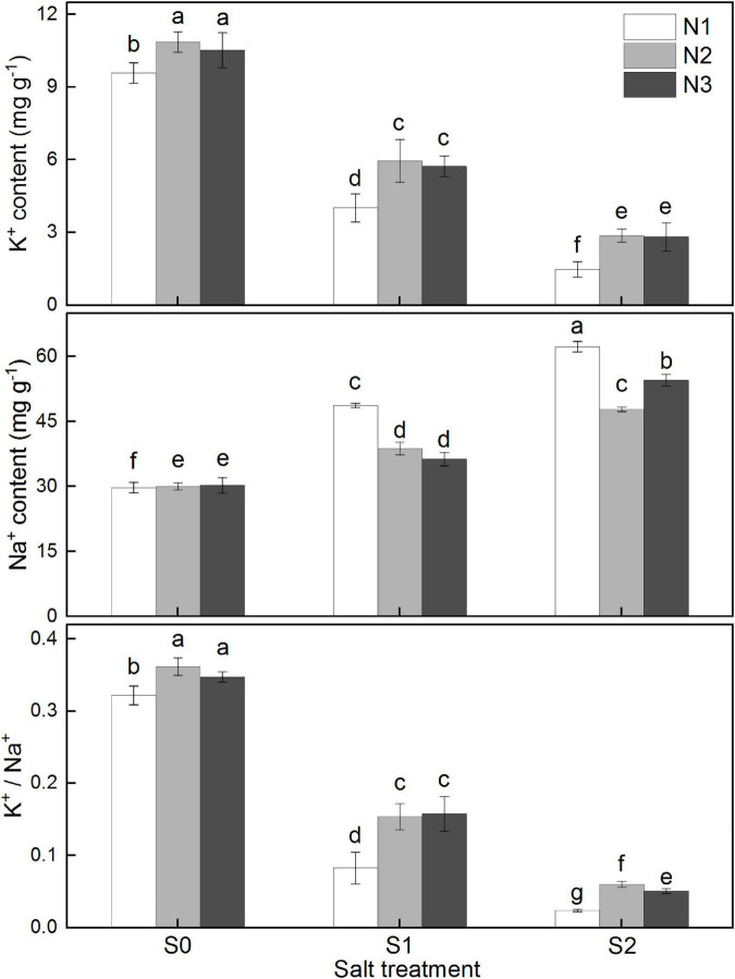 FIGURE 3