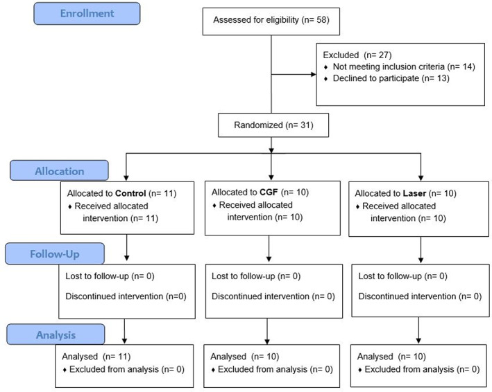 FIGURE 1