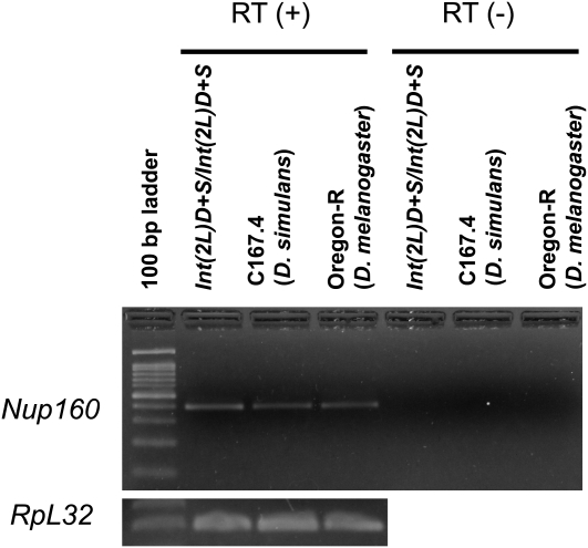 Figure 4.—