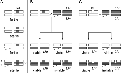 Figure 1.—