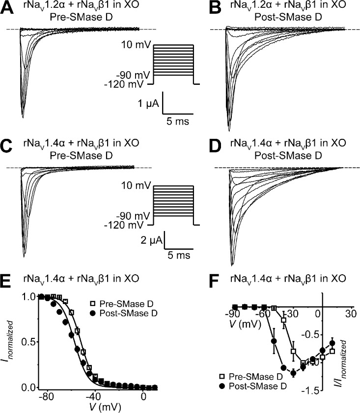 Figure 5.